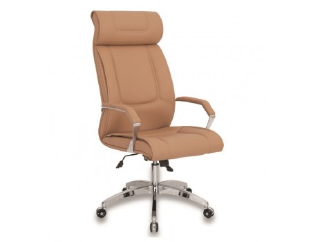 ALEYNA MAKAM KOLTUĞU